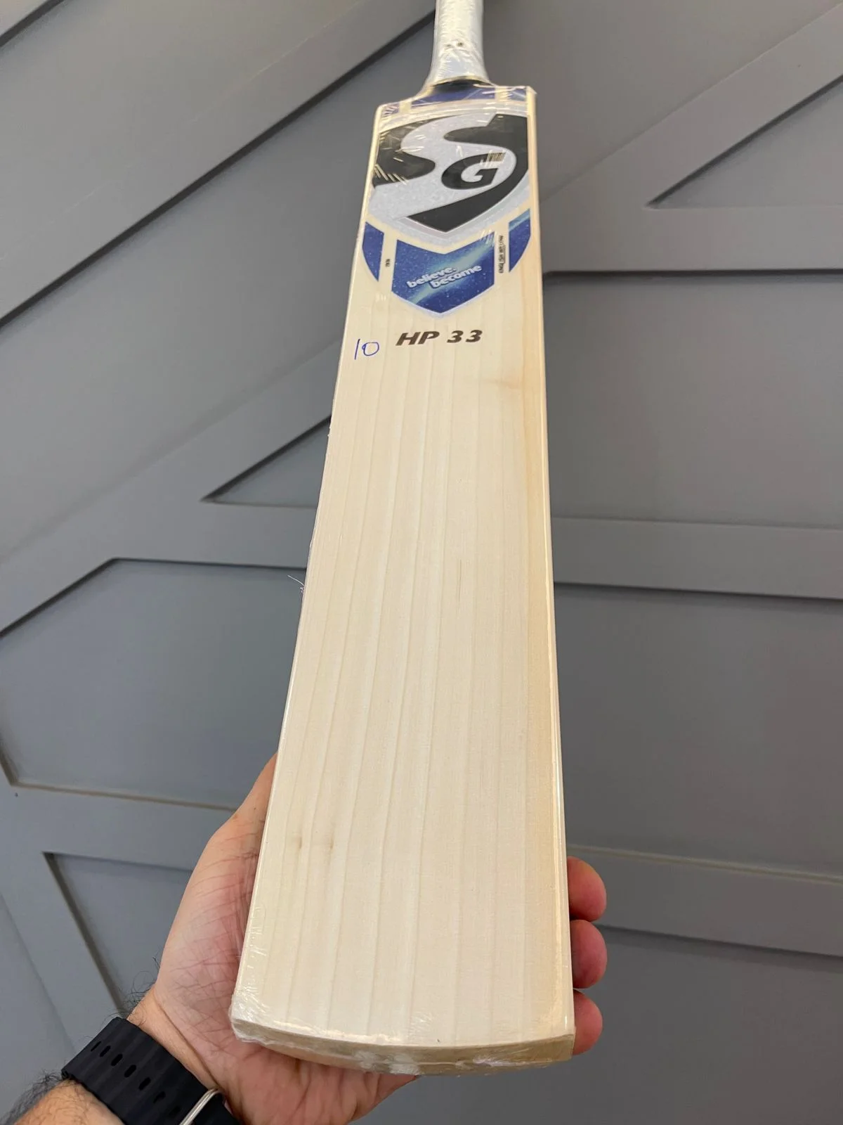 SG HP33 Players Cricket Bat