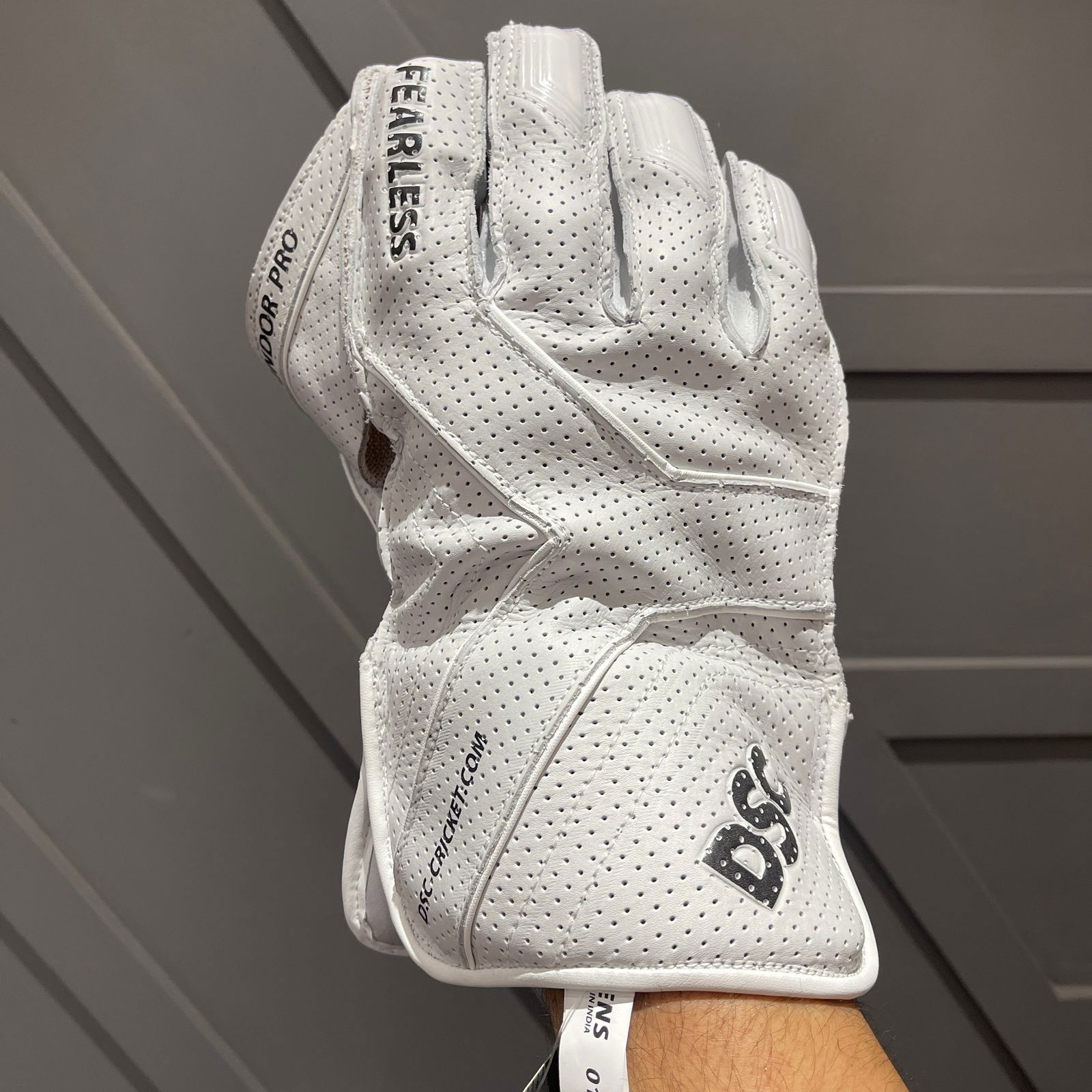 DSC Condor Pro Wicketkeeping Gloves