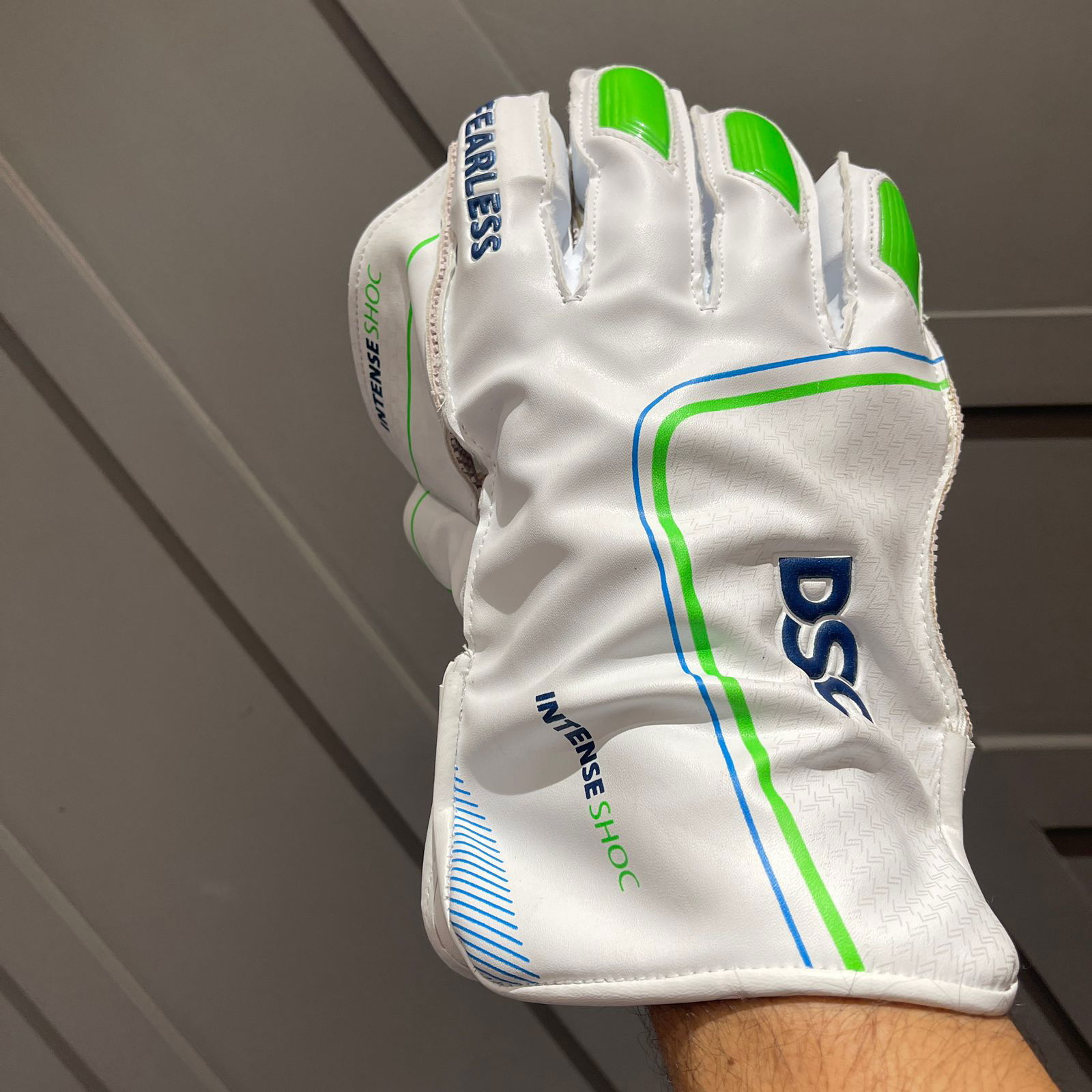 DSC Intense Shoc Wicketkeeping Gloves