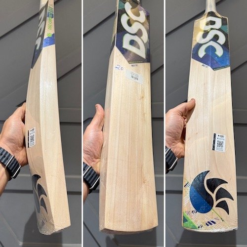 DSC Blu 100 Cricket Bat