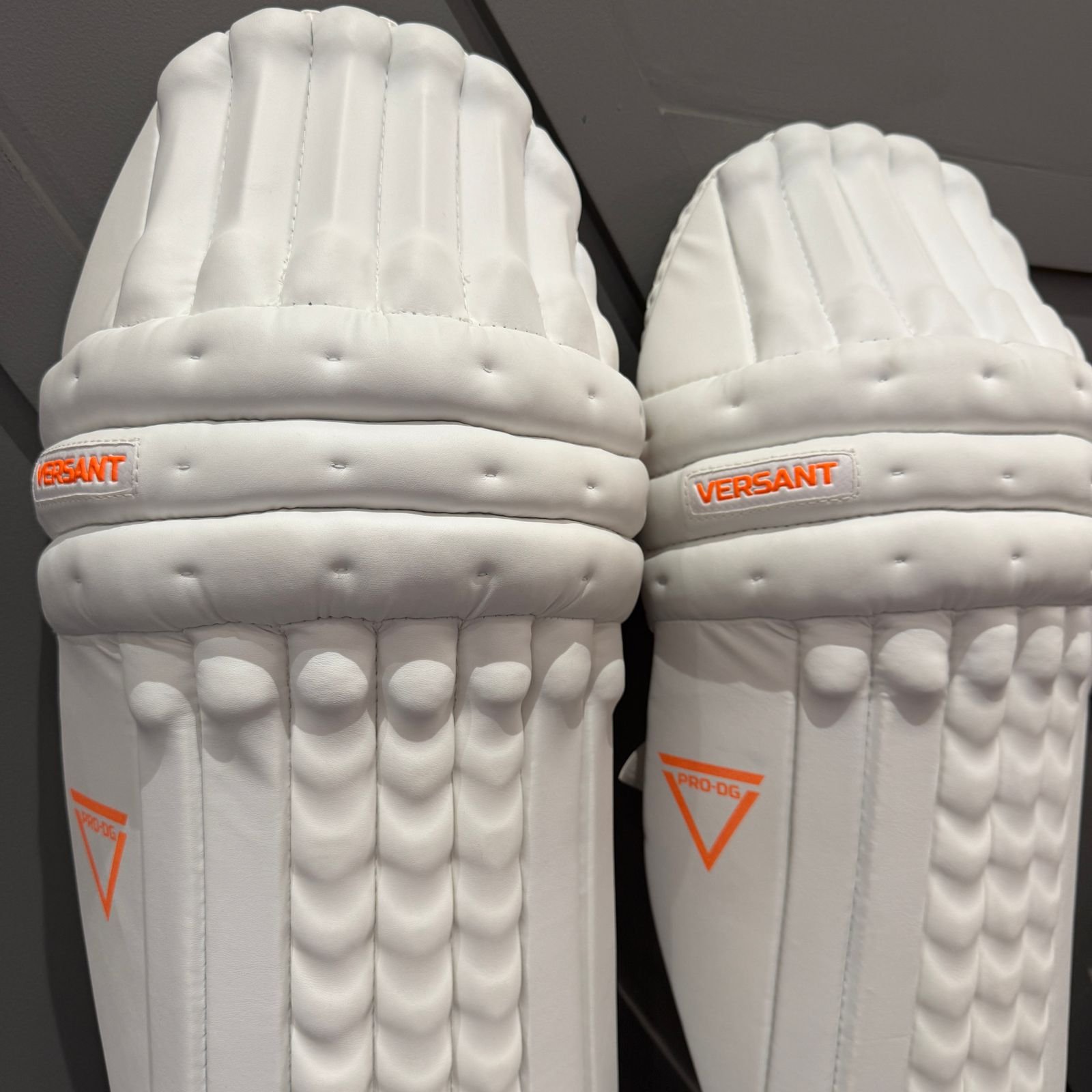versant-pro-dg-legguard-crown-cricketer