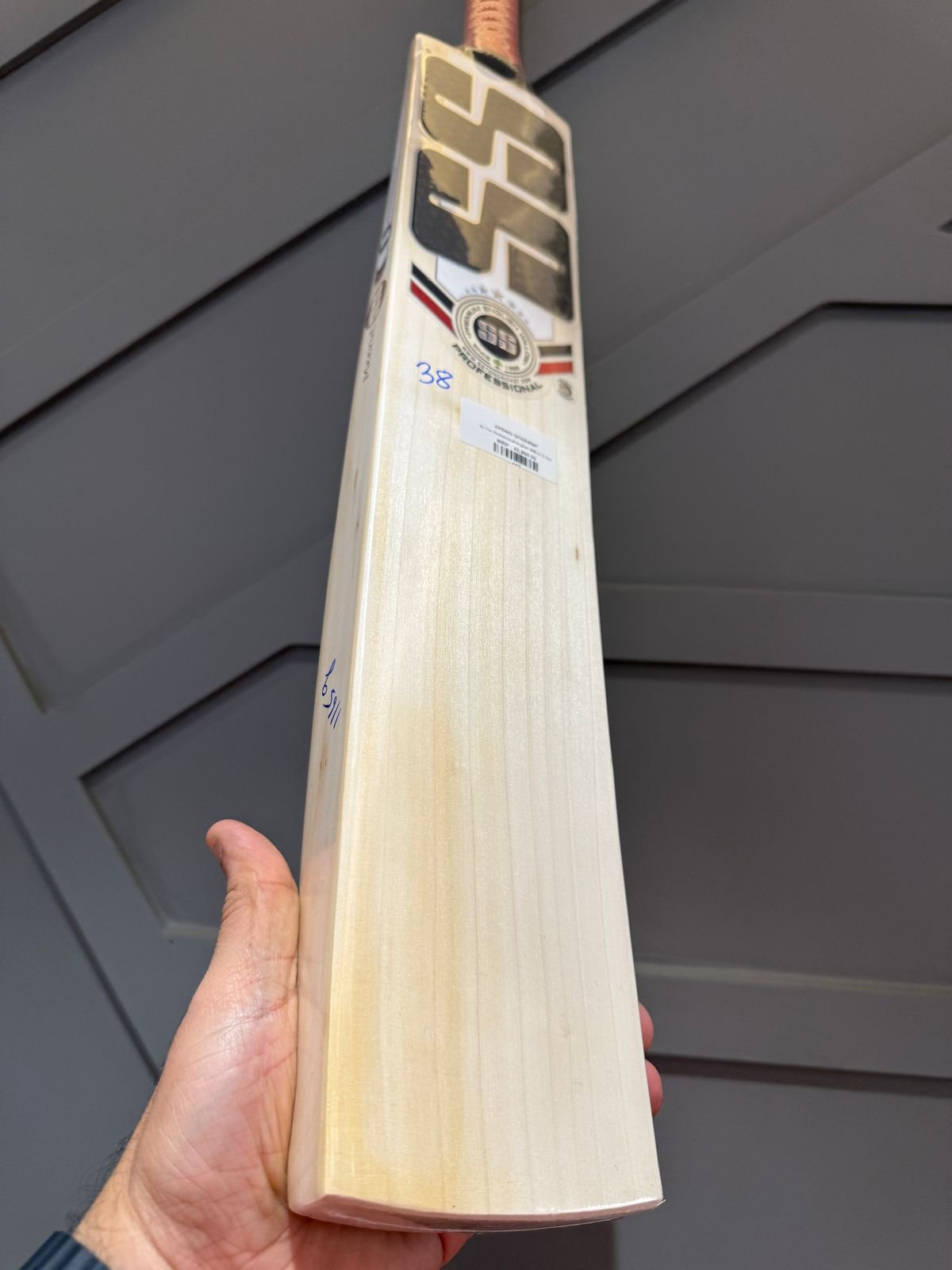 SS Ton Professional Cricket Bat