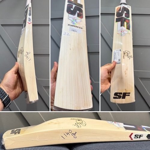 stanford players 2.0 cricket bat