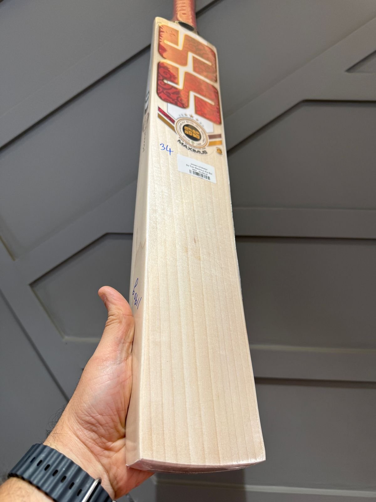 SS Ton Maximus Cricket Bat