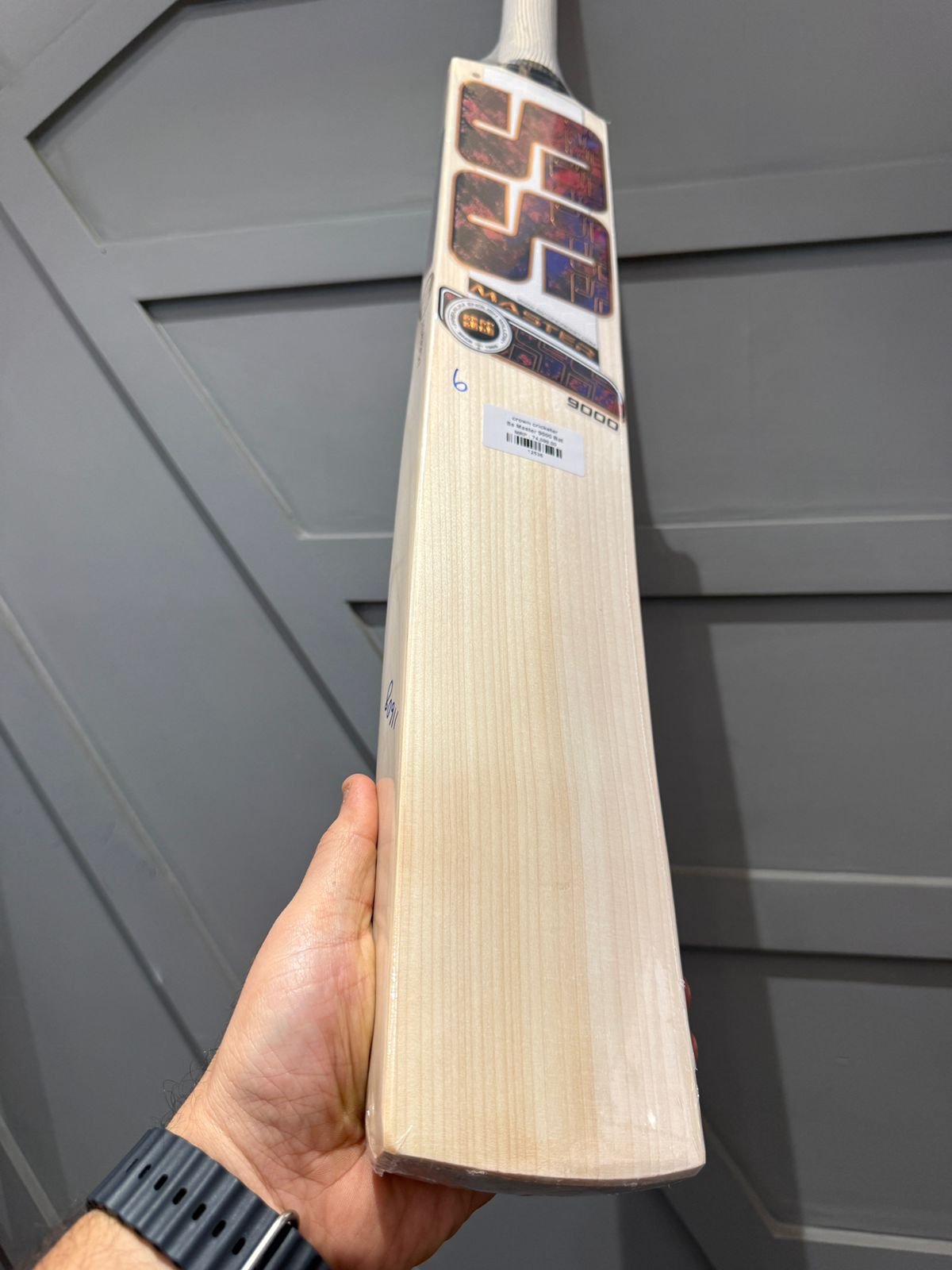SS Master 9000 Cricket Bat