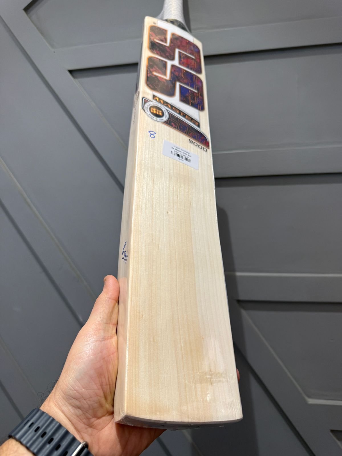 SS Master 9000 Cricket Bat