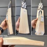 DSC Blak 200 Cricket Bat