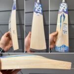DSC Blu 200 Bat
