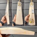 DSC Eureka Fortune Cricket Bat