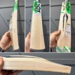 DSC Split 100 Cricket Bat