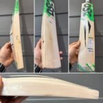 DSC Split 111 Cricket Bat