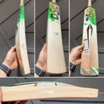 DSC Split 350 Cricket Bat