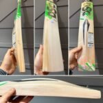 DSC Split 450 Cricket Bat