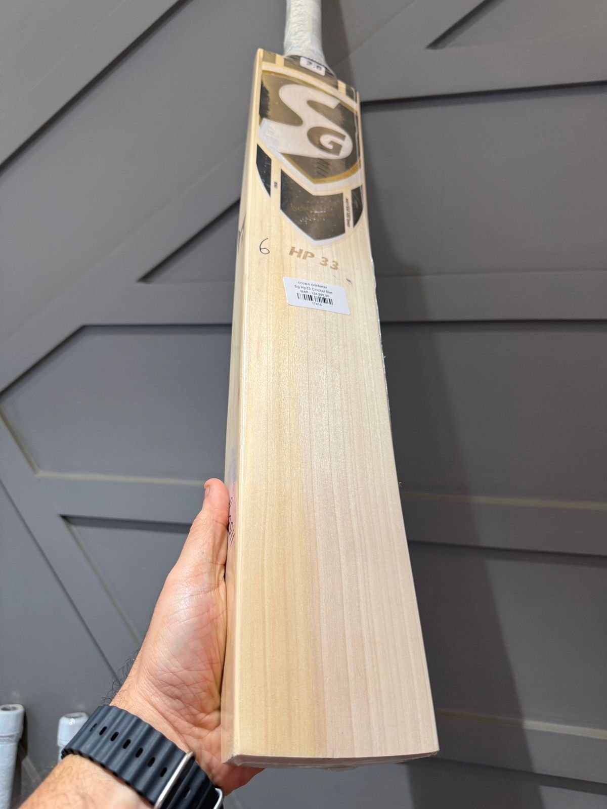 SG HP33 Players Cricket Bat