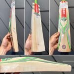 Gray Nicolls GN3 Tempesta Cricket Bat