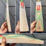 Gray Nicolls GN3 Tempesta Cricket Bat
