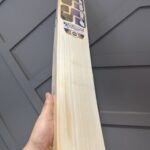 SS Tilak Verma Players Cricket bat