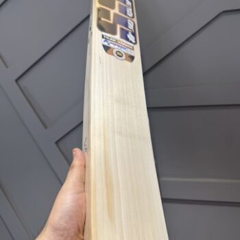SS Tilak Verma Players Cricket bat