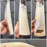 stanford players 2.0 cricket bat