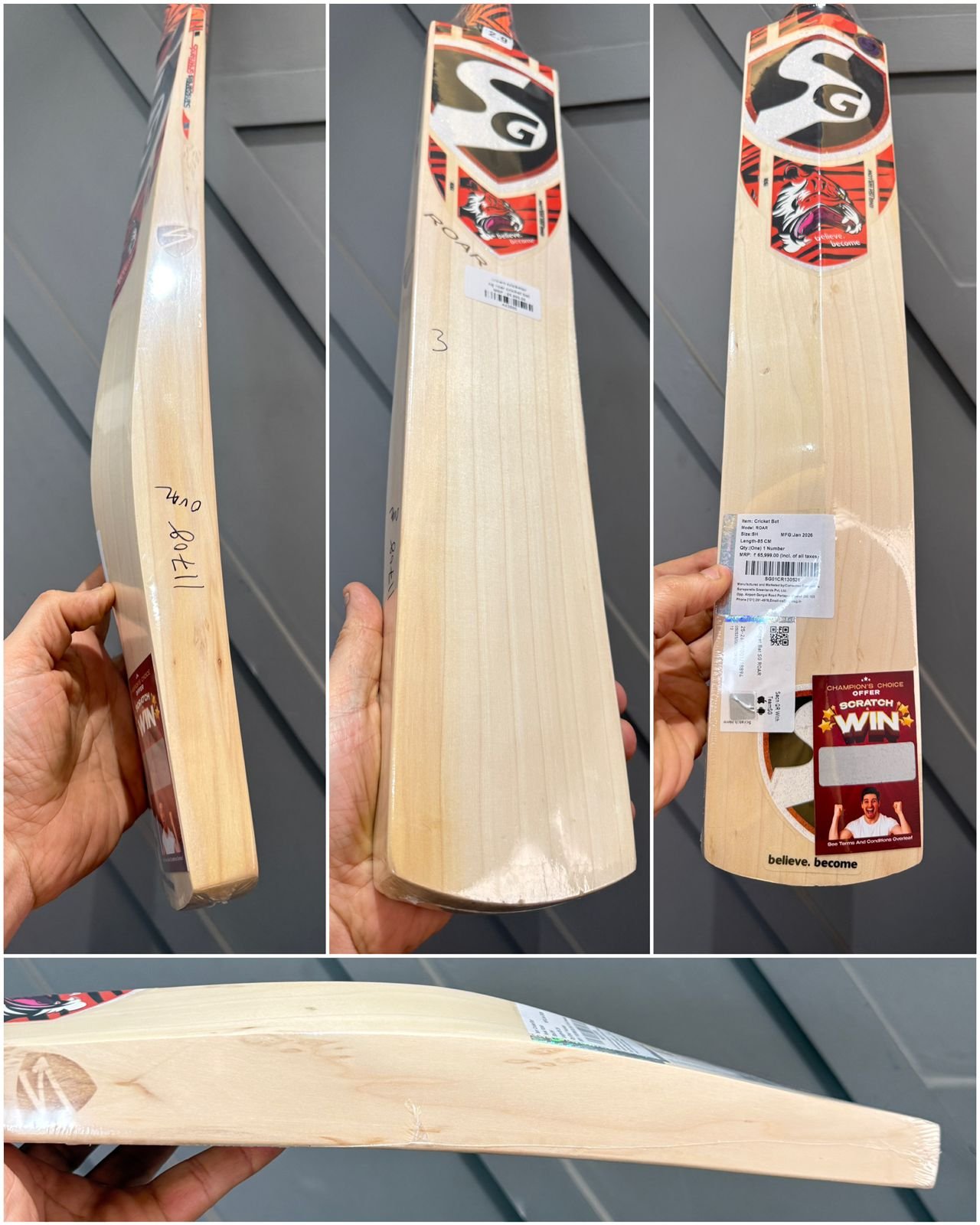 SG Roar Cricket Bat