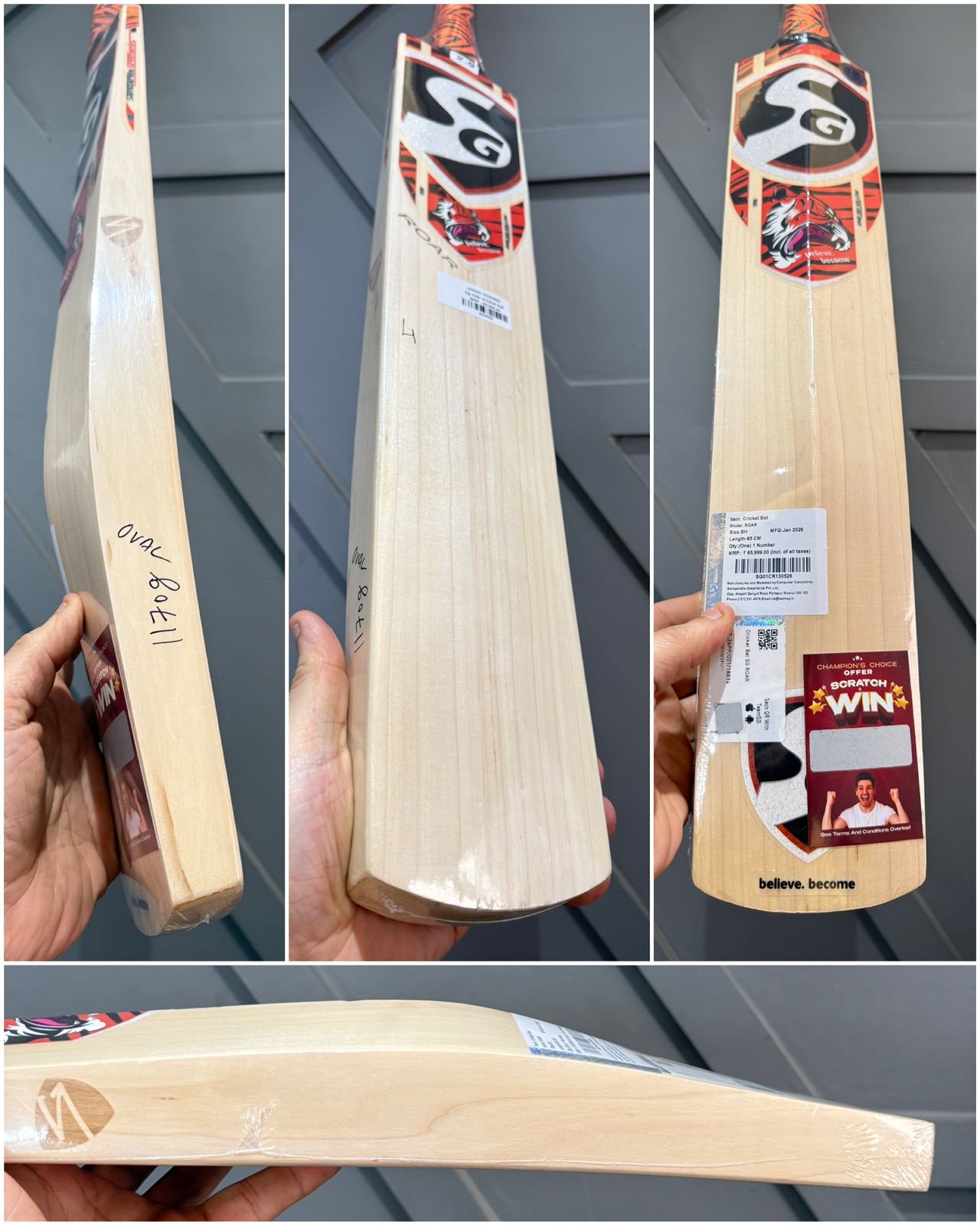 SG Roar Cricket Bat