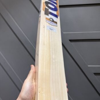 SS TON RESERVE EDITION Cricket bat