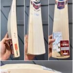 Sg Rp Ultimate cricket Bat
