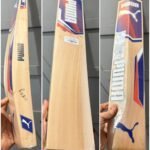 Puma Blaze Cricket Bat