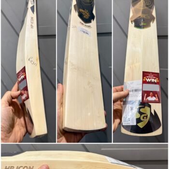 SG HP Icon Cricket Bat