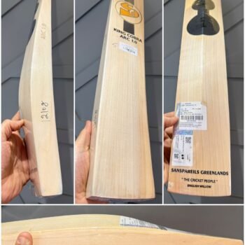 SG KING COBRA ARC 1.0 CRICKET BAT