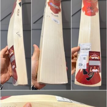 SG RP Icon Cricketer Bat