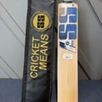 SS Ryan Rickleton players cricket bat