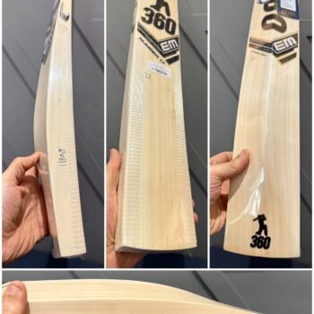 EM GT PLAYER KASHMIR WILLOW BAT