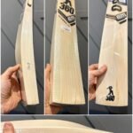 EM GT PLAYER KASHMIR WILLOW BAT