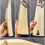 EM GT PLAYER KASHMIR WILLOW BAT