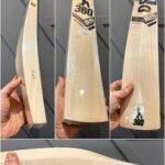EM GT PLAYER KASHMIR WILLOW BAT