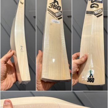 EM GT PLAYER KASHMIR WILLOW BAT