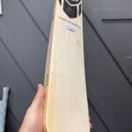 SG KUNG FU PANDYA CRICKET BAT