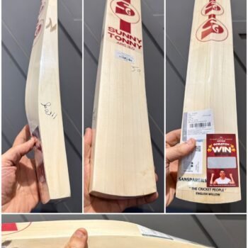 SG Sunny Tonny ARC 3.0 cricket bat