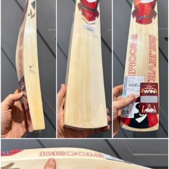 SG sunny tonny cricket bat