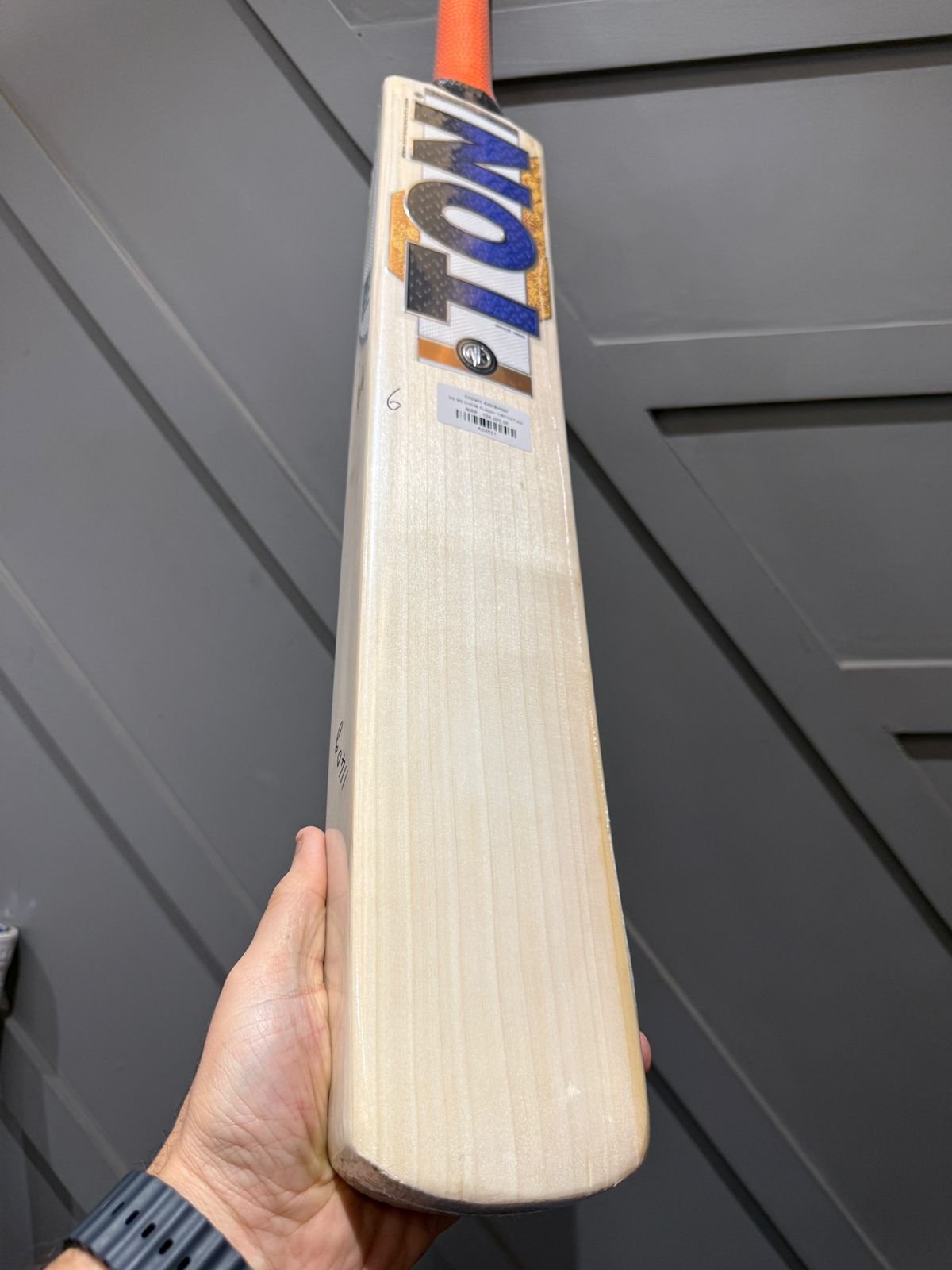 SS MS DHONI PLayers CRICKET Bat