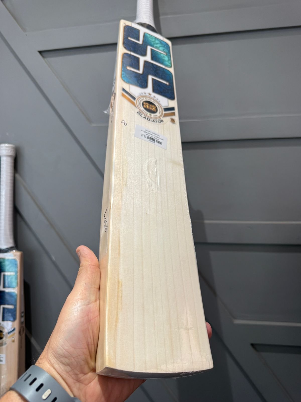 SS gladiator cricket bat