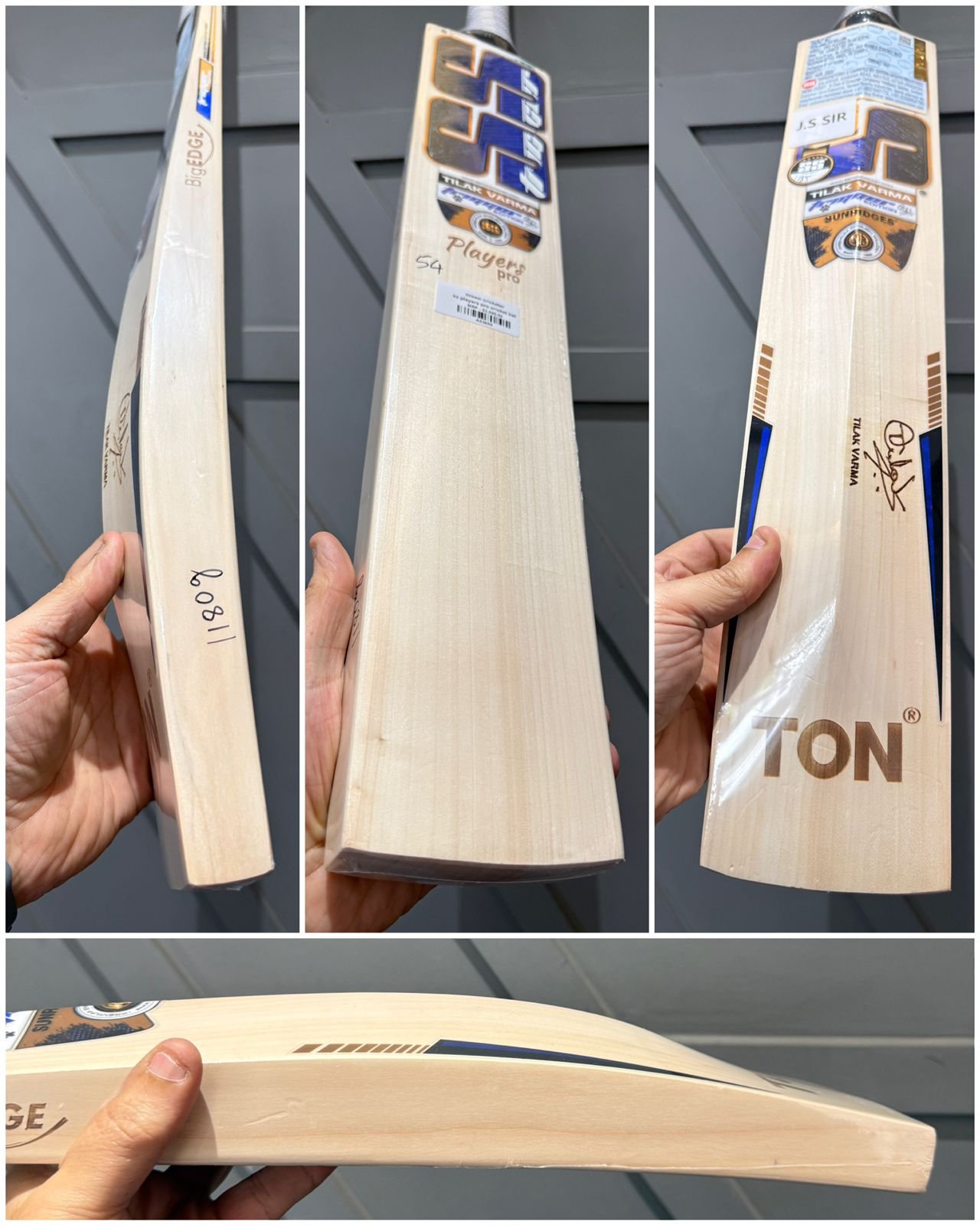 SS players pro cricket bat