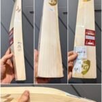 Sg Sunny Gold Cricket Bat