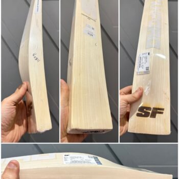 Stanford Transformation 2.0 Bat