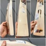 Stanford triumph warrior cricket bat