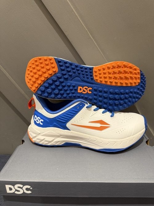 DSC Endgame Cricket Shoes