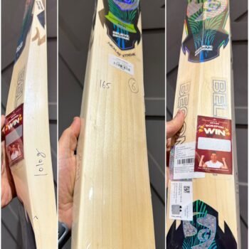 sg nexus xtreme cricket bat junior size 6