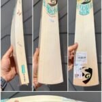 Sg player edition cricket bat