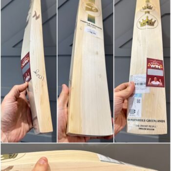 Sg triple crown Arc 2.0 cricket bat